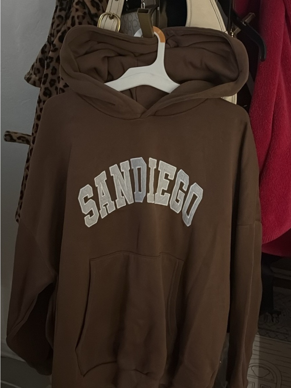 Women's Brown Hooded Sweatshirt with 'San Diego' Lettering